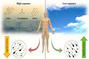 The consequences of climate change and male reproductive health: A review of the possible impact and mechanisms